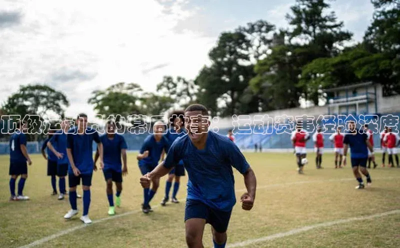 熊猫体育在线观看平台