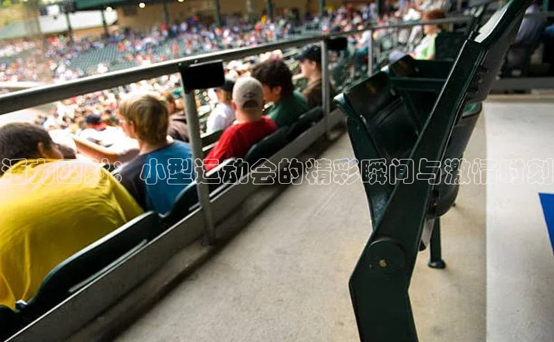 熊猫体育手机版下载